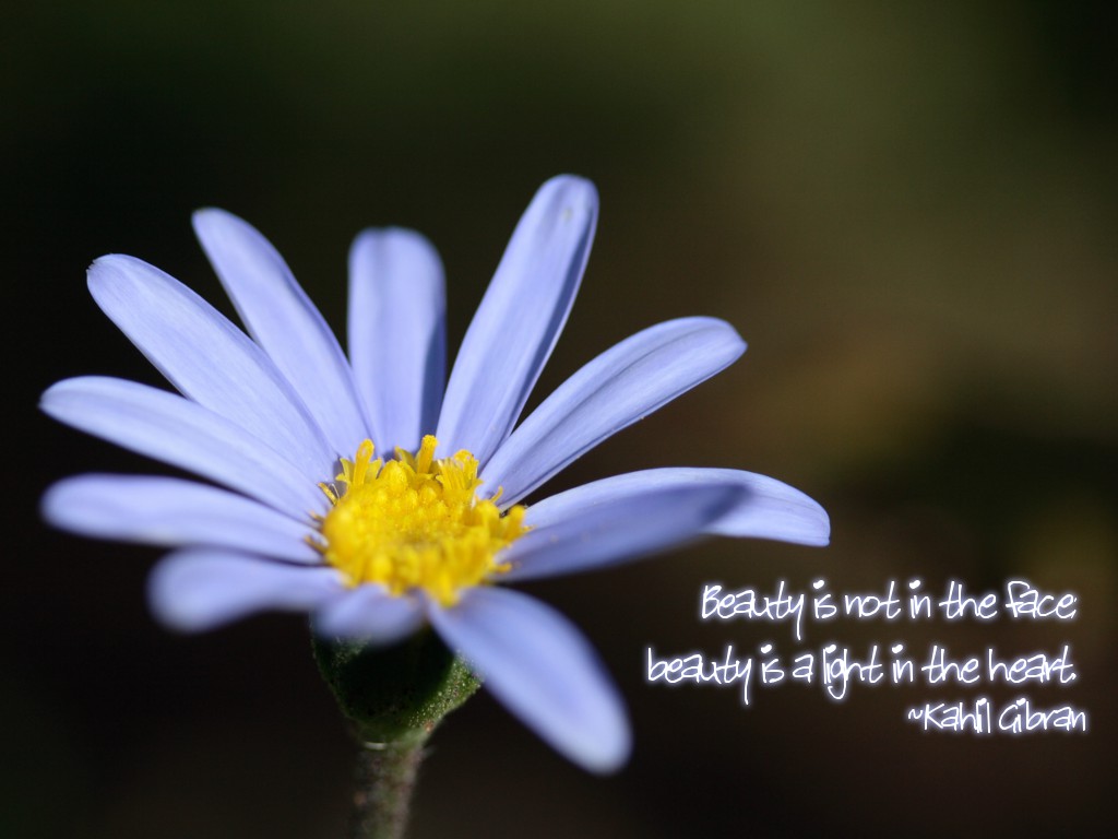 Beauty is not in the face; beauty is a light in the heart. ~Kahlil Gibran