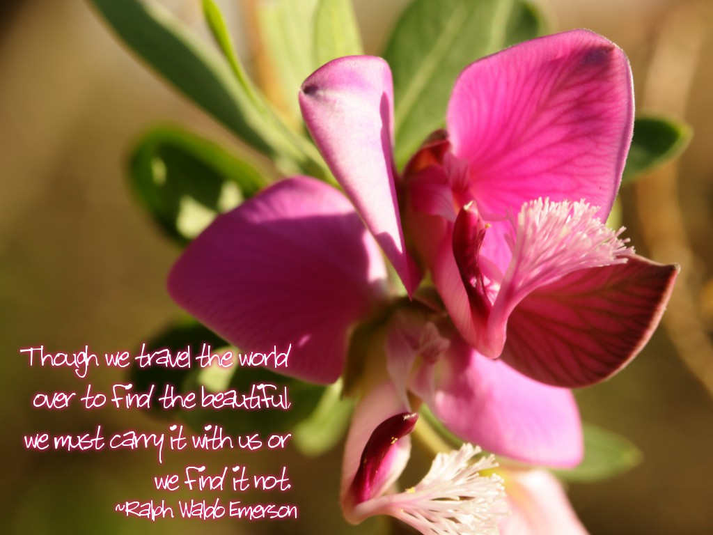 Though we travel the world over to find the beautiful, we must carry it with us or we find it not. ~Ralph Waldo Emerson