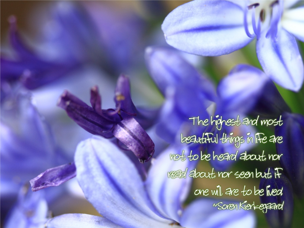 The highest and most beautiful things in life are not to be heard about, nor read about, nor seen but, if one will, are to be lived. ~Soren Kierkegaard