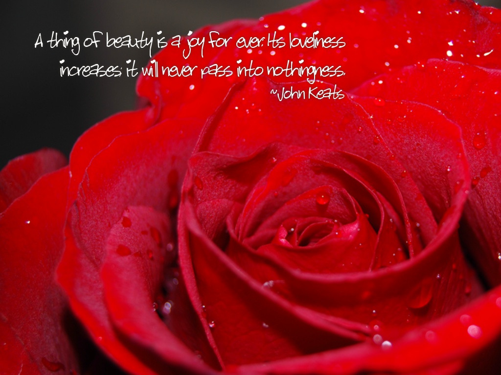 A thing of beauty is a joy for ever: Its loveliness increases; it will never pass into nothingness. ~John Keats