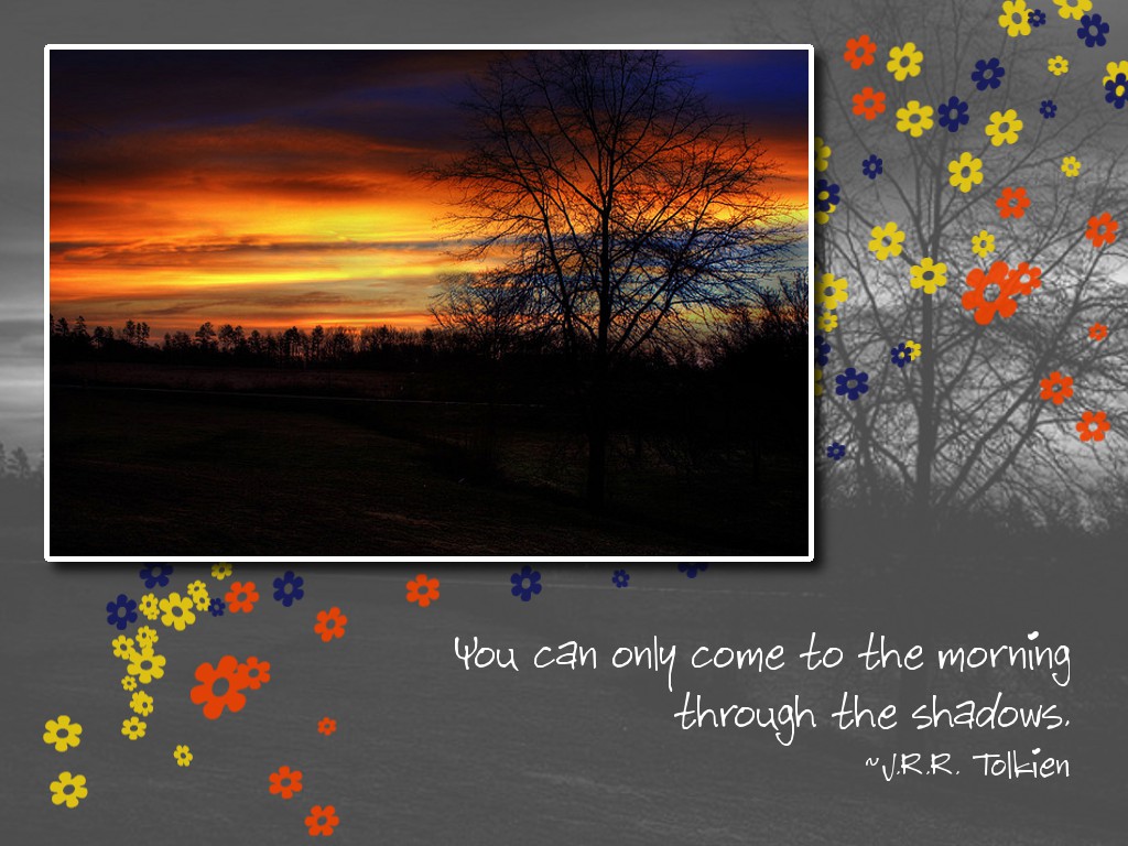 You can only come to the morning through the shadows. ~J.R.R. Tolkien